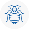 Bed Bug Extermination In Earley